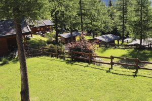 Yolki-Palki-camping-village